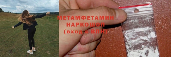 прущие грибы Дмитриев