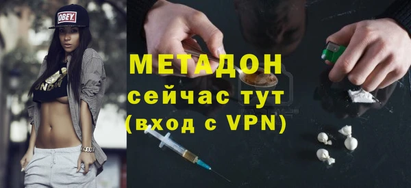 прущие грибы Дмитриев