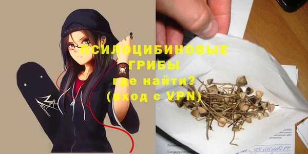 мяу мяу мука Дмитров