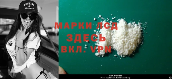 прущие грибы Дмитриев