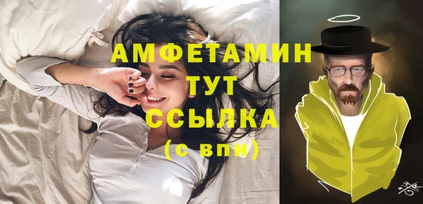 прущие грибы Дмитриев