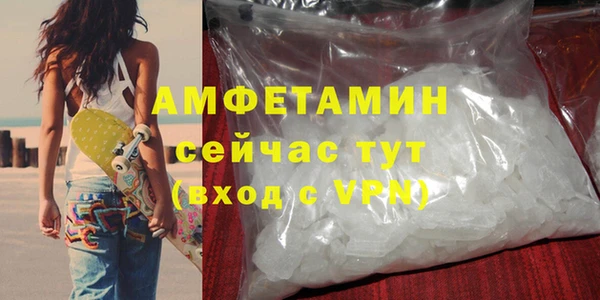 прущие грибы Дмитриев