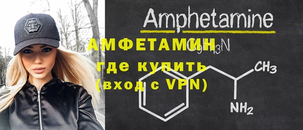 прущие грибы Дмитриев