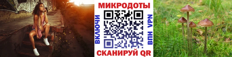 Псилоцибиновые грибы мухоморы  купить   Нарткала 
